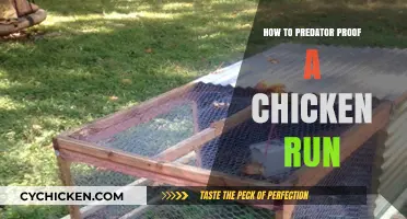 Secure Your Flock: Effective Ways to Predator-Proof Your Chicken Run