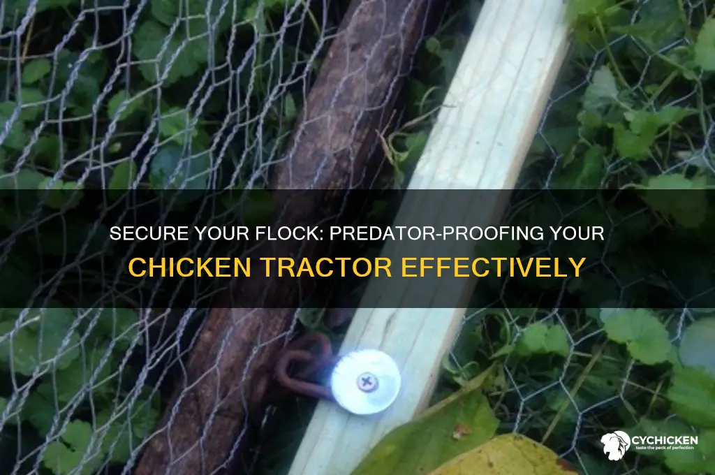 how to predator proof a chicken tractor