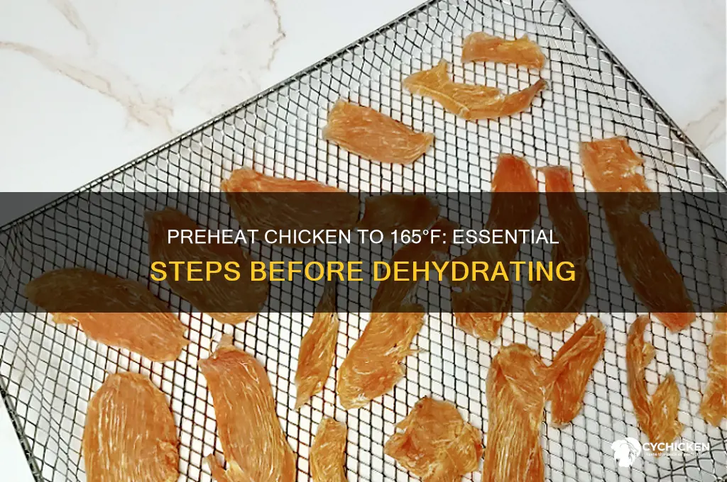 how to preheat chicken to 165 before dehydrating