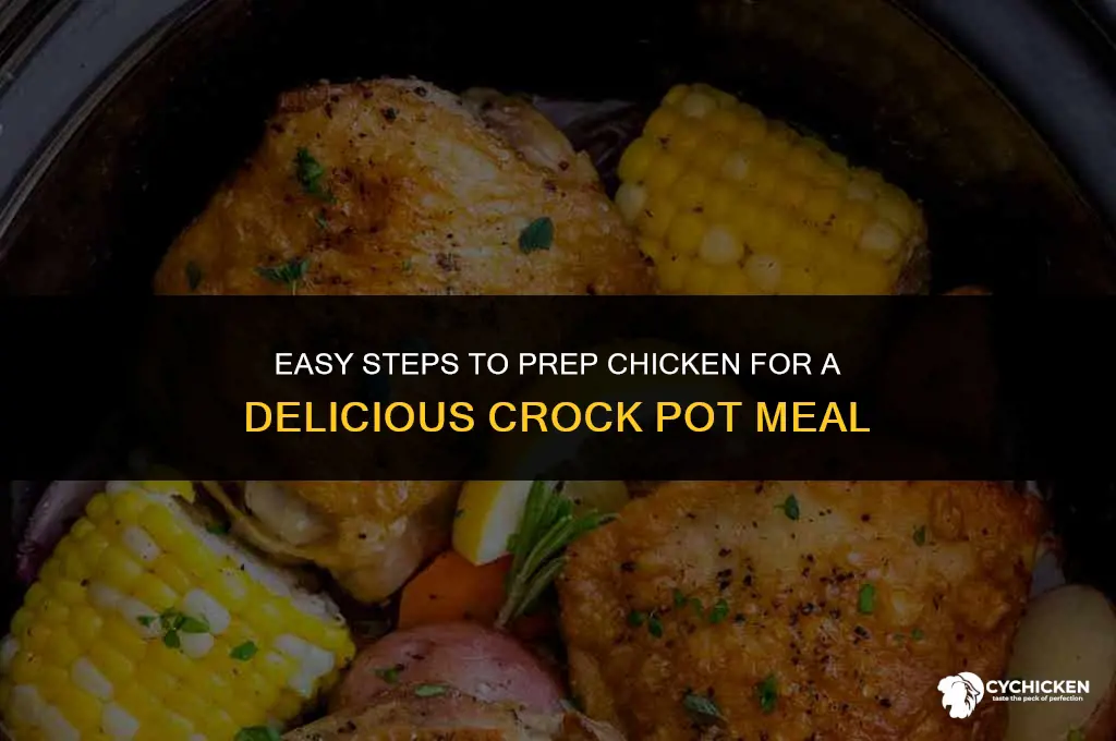 how to prep a chicken for crock pot