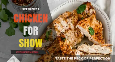 Mastering Showmanship: Essential Steps to Prepare Your Chicken for Competition