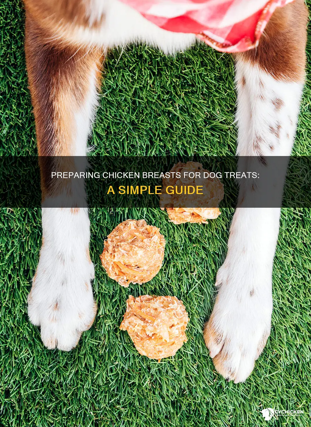 how to prep chicken breats for dog training treats