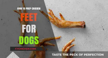 Prepping Chicken Feet for Dogs: A Simple, Nutritious Treat Guide