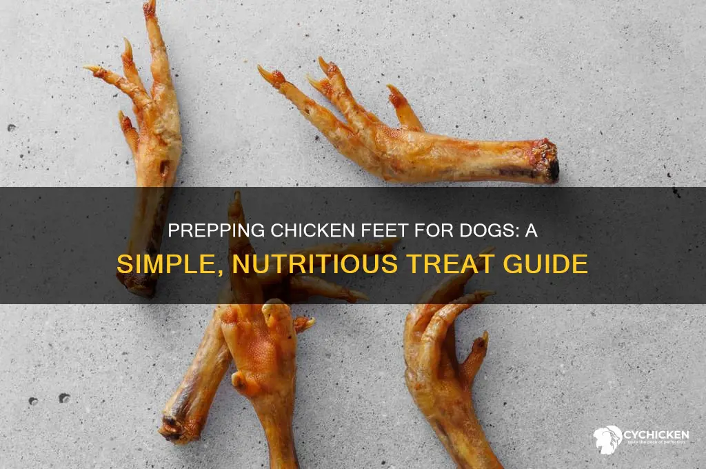 how to prep chicken feet for dogs