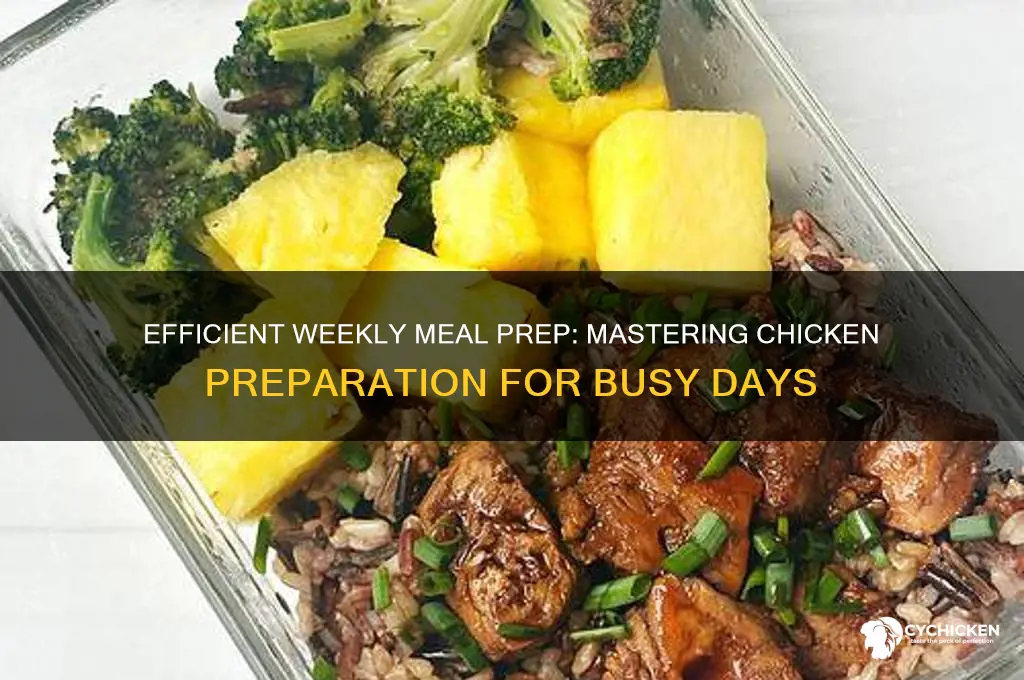 how to prep chicken for the week