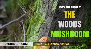 Prepping Chicken of the Woods: A Step-by-Step Mushroom Guide
