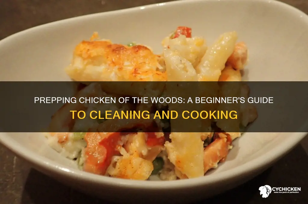 how to prep chicken of the woods