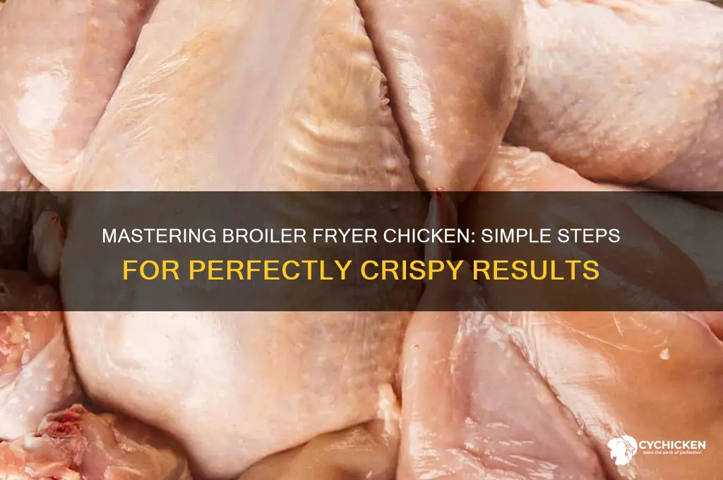 how to prepare a broiler fryer chicken