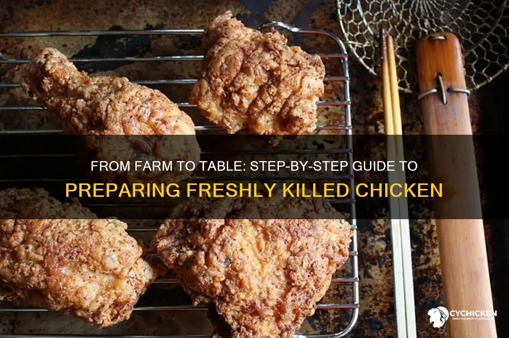 how to prepare a chicken after killing it