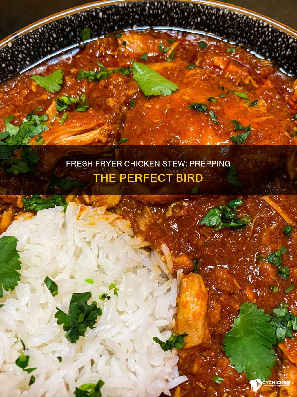 how to prepare a fresh fryer for chicken stew