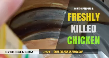 Freshly Killed Chicken Preparation: A Step-by-Step Guide for Home Cooks