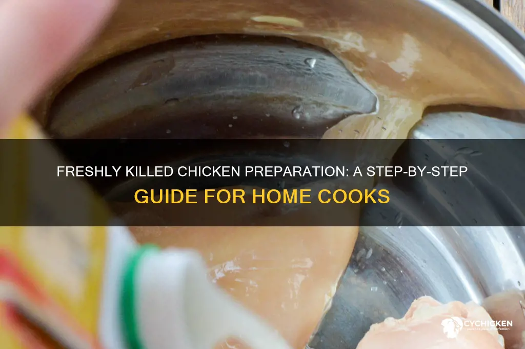 how to prepare a freshly killed chicken