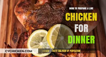 From Coop to Table: A Step-by-Step Guide to Preparing Live Chicken