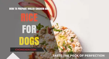 Preparing Chicken and Rice for Dogs: A Healthy Recipe