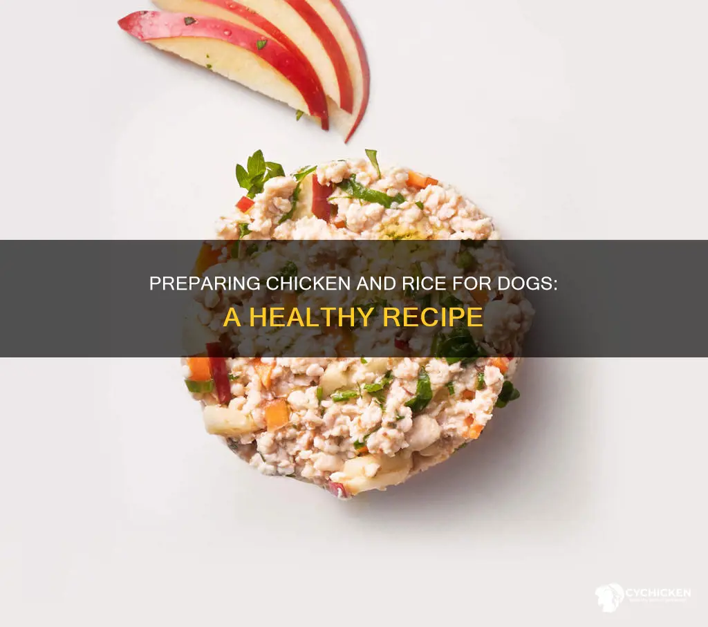 how to prepare boiled chicken and rice for dogs