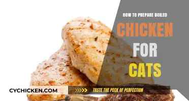 Easy Boiled Chicken Recipe for Cats: Healthy Homemade Meal Prep