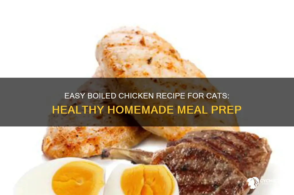 how to prepare boiled chicken for cats