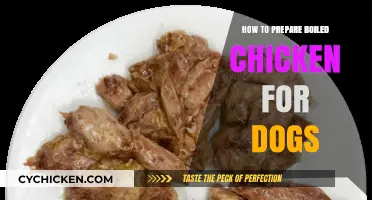Simple Boiled Chicken Recipe: A Healthy Dog Food Prep Guide