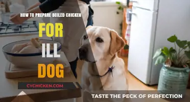 Easy Boiled Chicken Recipe for Your Sick Dog's Recovery