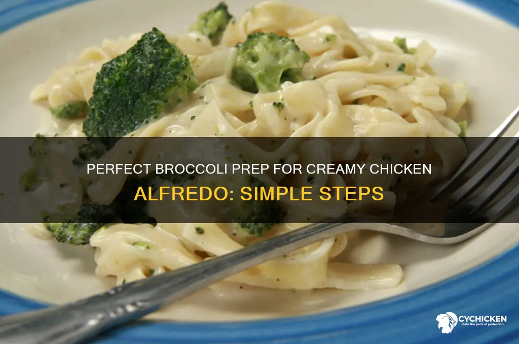 how to prepare broccoli for chicken alfredo
