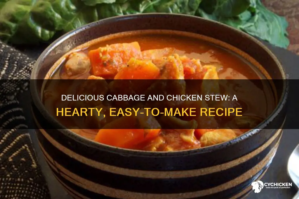 how to prepare cabbage stew with chicken