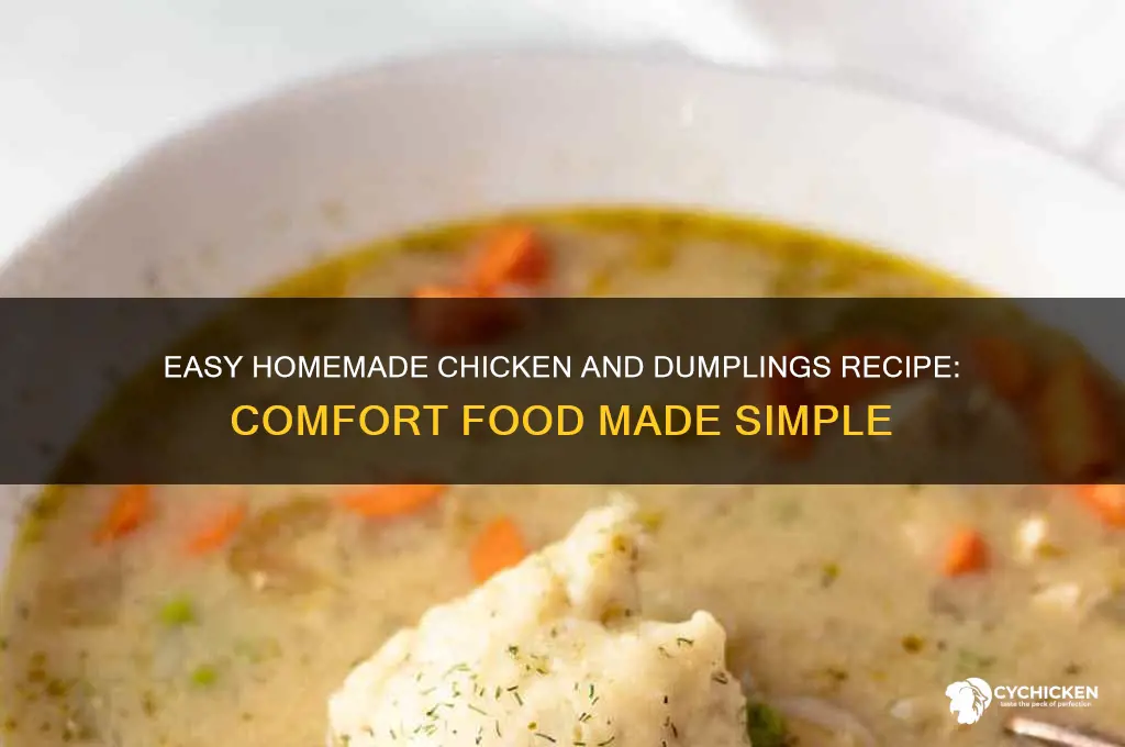 how to prepare chicken and dumplings home made