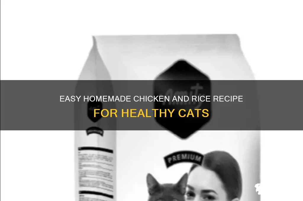 how to prepare chicken and rice for cats