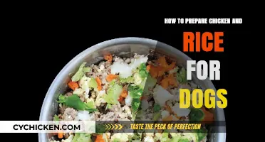 Nutritious Chicken and Rice Recipe for Your Dog's Healthy Diet