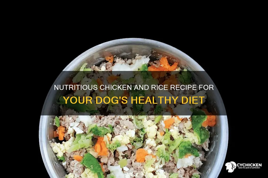 how to prepare chicken and rice for dogs