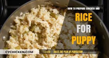 Nutritious Chicken and Rice Recipe for Your Growing Puppy's Diet