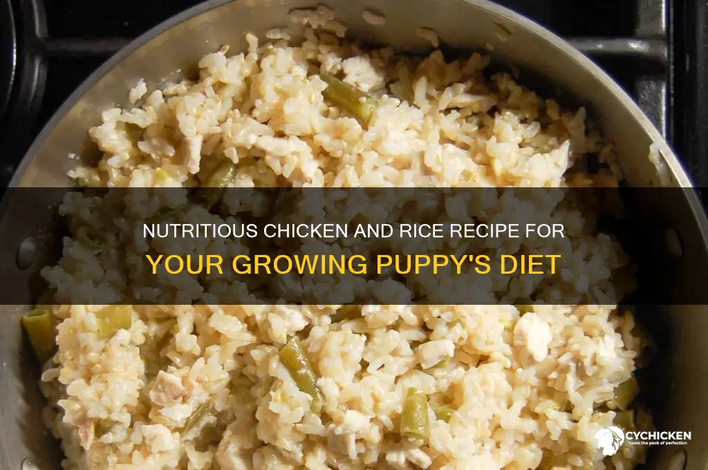 how to prepare chicken and rice for puppy