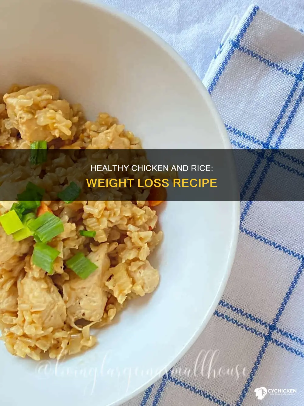how to prepare chicken and rice for weight loss