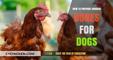 Safe Chicken Bone Prep: A Dog Owner's Guide to Healthy Treats