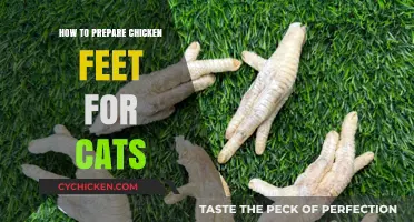 Preparing Chicken Feet for Cats: A Step-by-Step Guide