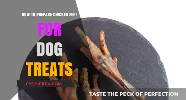 Easy Chicken Feet Dog Treats: Preparation Guide for Healthy Snacks