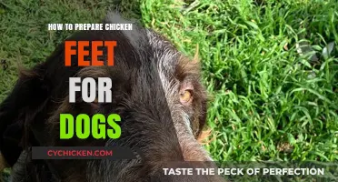 Preparing Chicken Feet for Dogs: A Healthy, Tasty Treat Guide