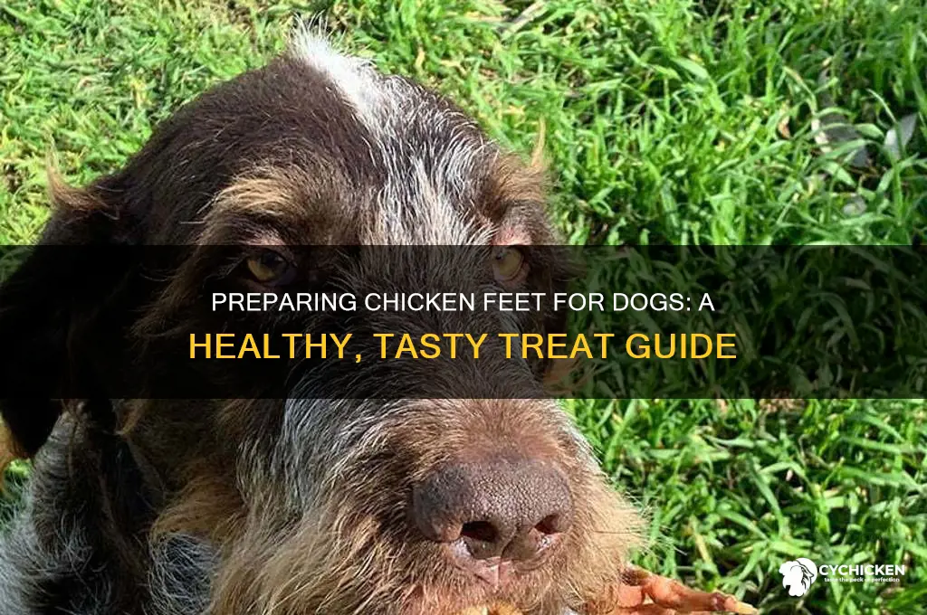 how to prepare chicken feet for dogs
