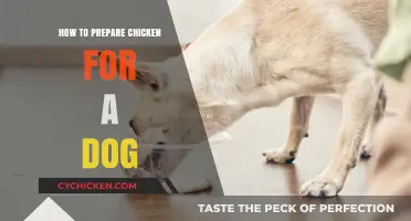 Safe Chicken Preparation Tips for Your Dog's Healthy Diet