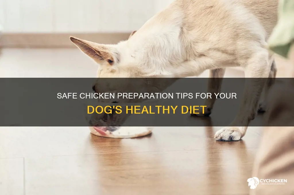 how to prepare chicken for a dog