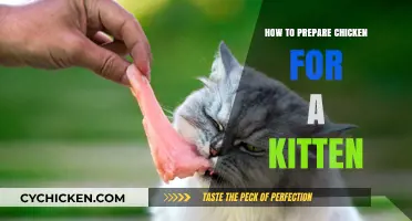 Preparing Chicken Safely: A Kitten-Friendly Guide for New Owners