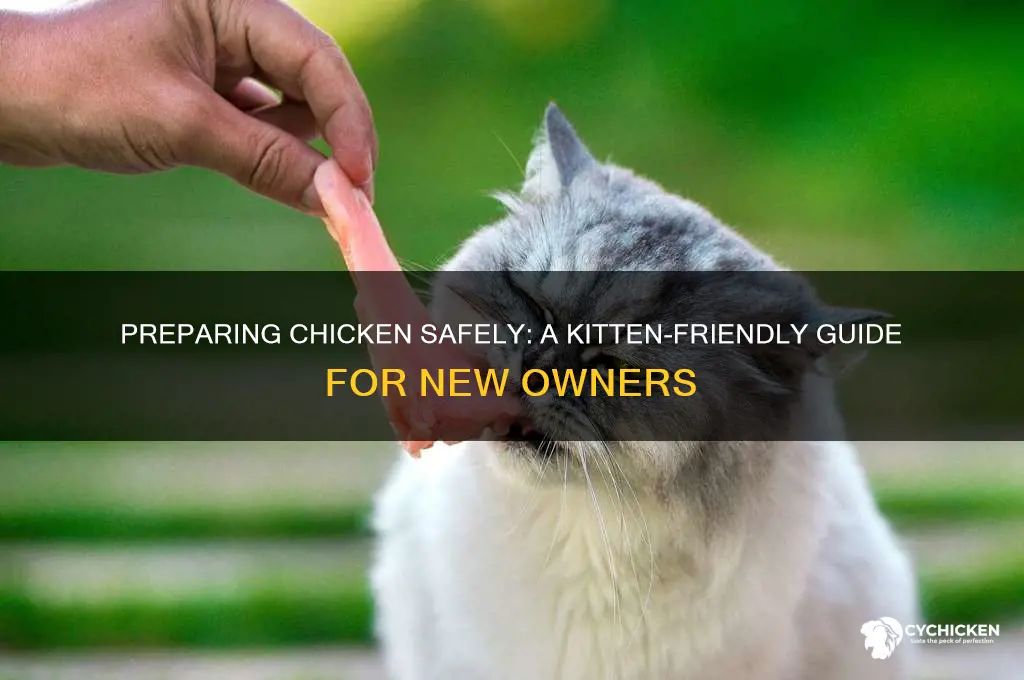 how to prepare chicken for a kitten
