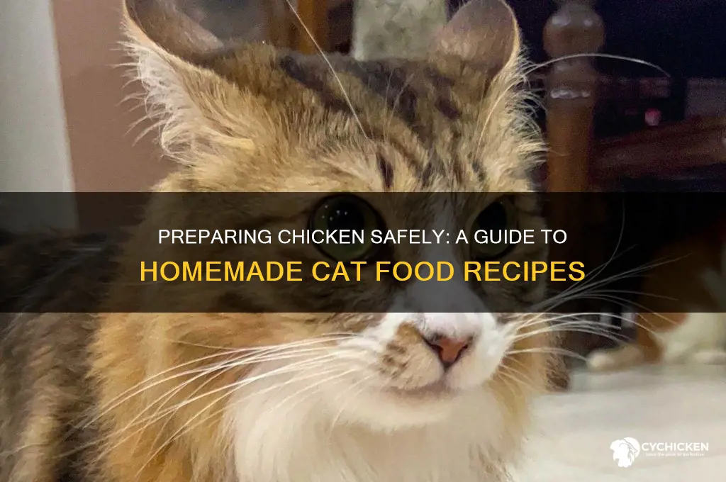 how to prepare chicken for cat food