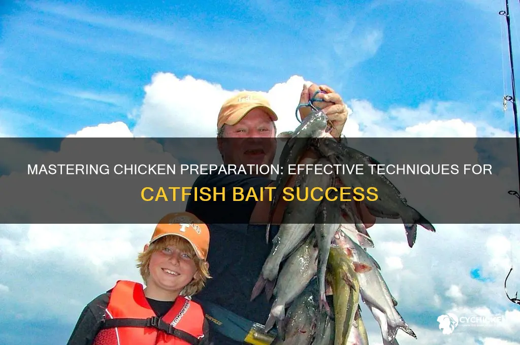 how to prepare chicken for catfish bait
