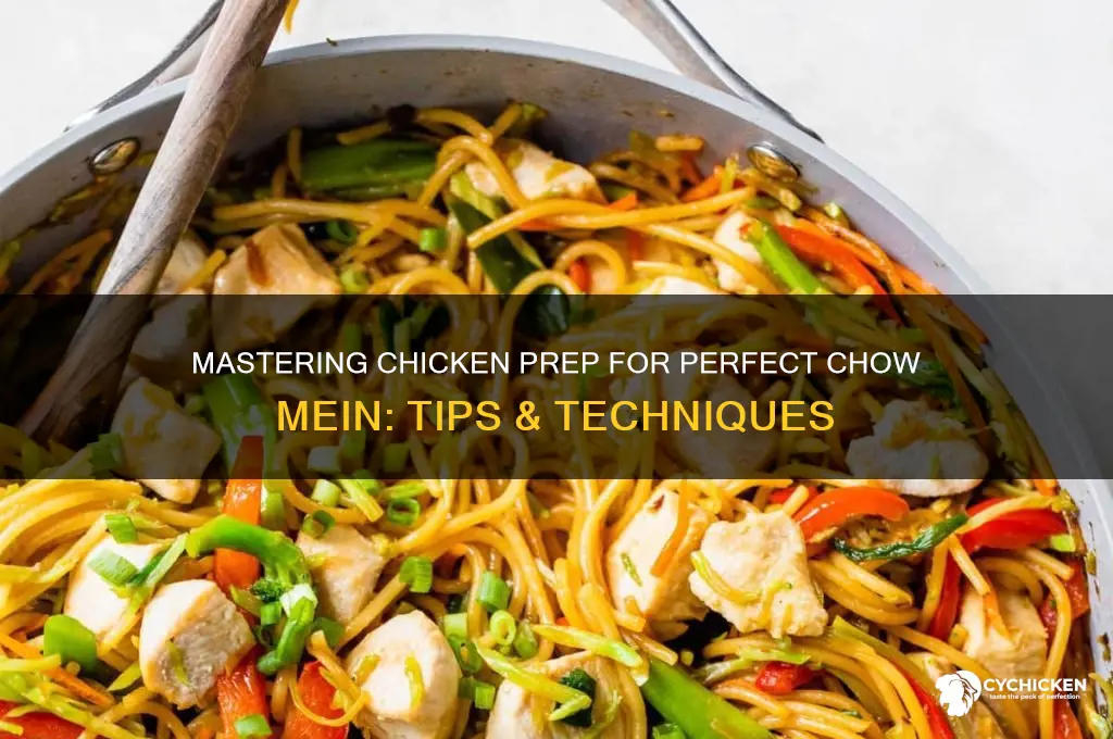 how to prepare chicken for chow mein