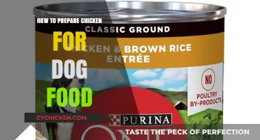 Safe and Nutritious Chicken Preparation for Homemade Dog Food