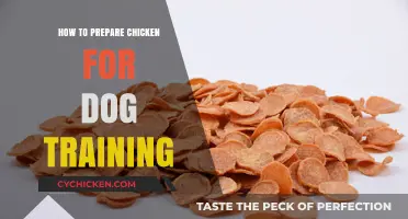 Training Treats: Simple Steps to Prepare Chicken for Dog Training