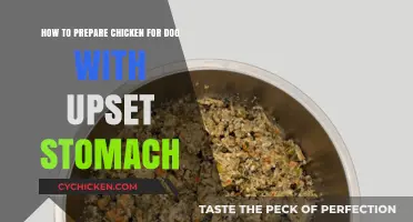 Chicken Diet: Soothing Your Dog's Upset Stomach