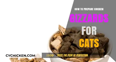 Preparing Chicken Gizzards: A Healthy Cat Treat Guide