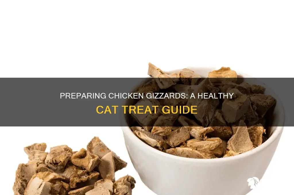 how to prepare chicken gizzards for cats