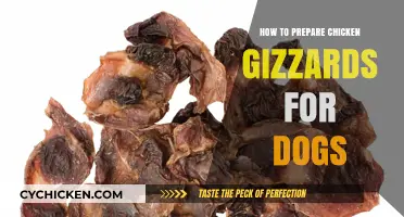 Preparing Chicken Gizzards: A Healthy Dog Treat Guide